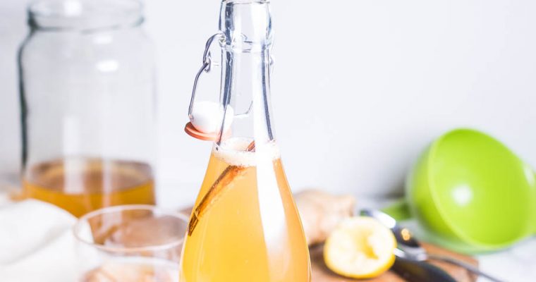 Kefir en Kombucha – Boek review